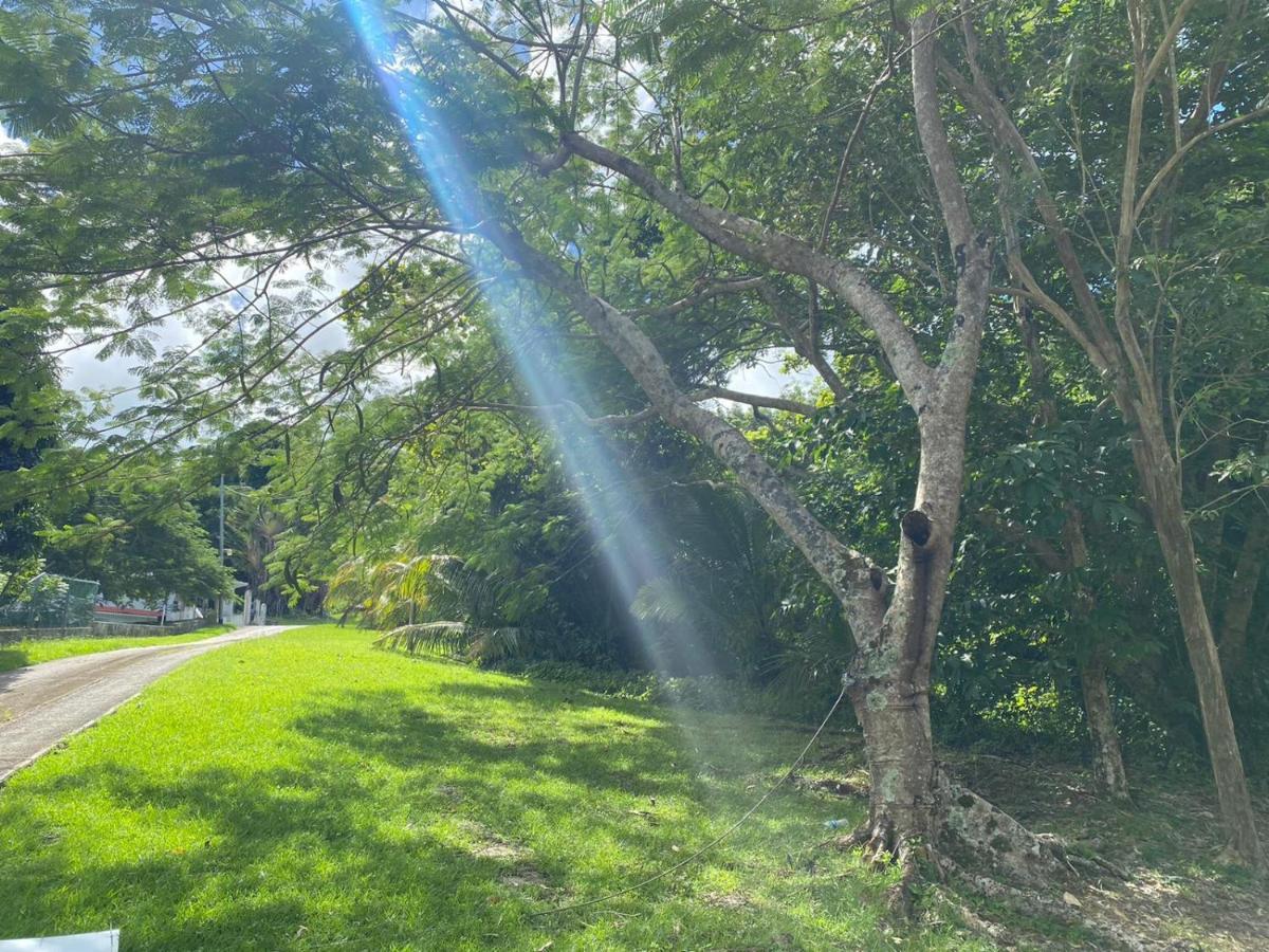 The Serene House Bed & Breakfast Luquillo Eksteriør bilde