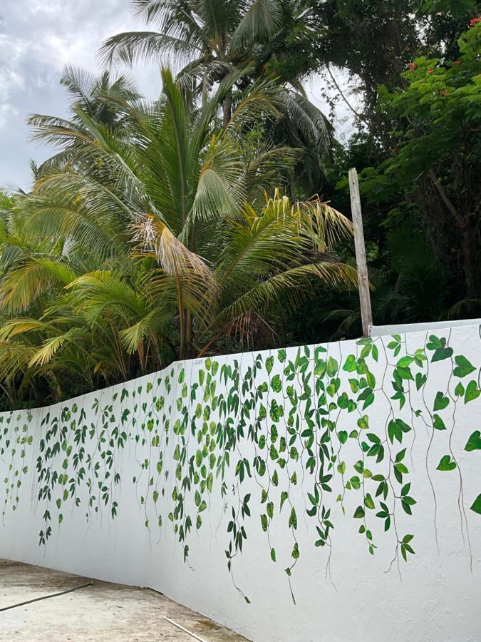 The Serene House Bed & Breakfast Luquillo Eksteriør bilde