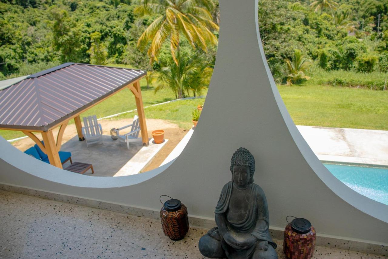 The Serene House Bed & Breakfast Luquillo Eksteriør bilde