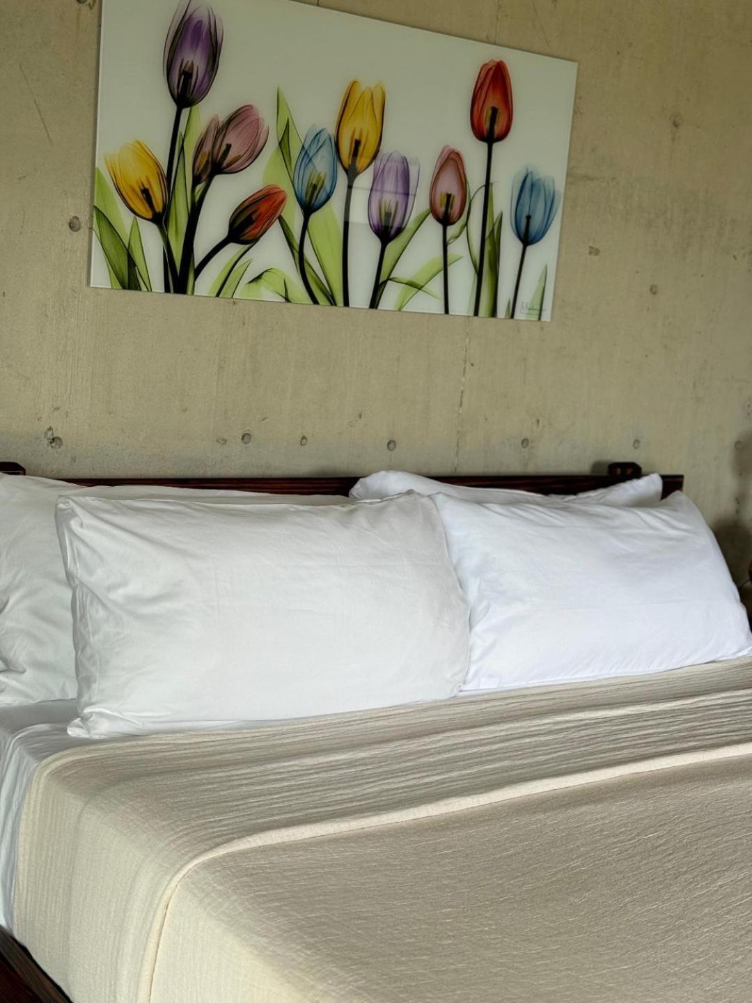 The Serene House Bed & Breakfast Luquillo Eksteriør bilde