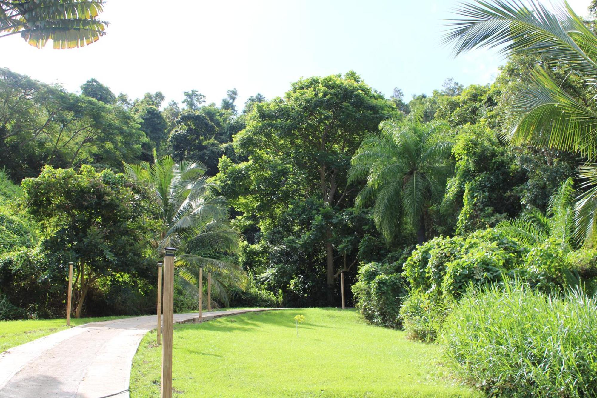The Serene House Bed & Breakfast Luquillo Eksteriør bilde