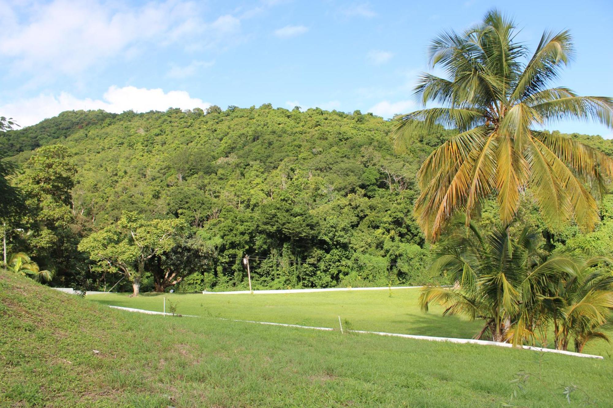 The Serene House Bed & Breakfast Luquillo Eksteriør bilde