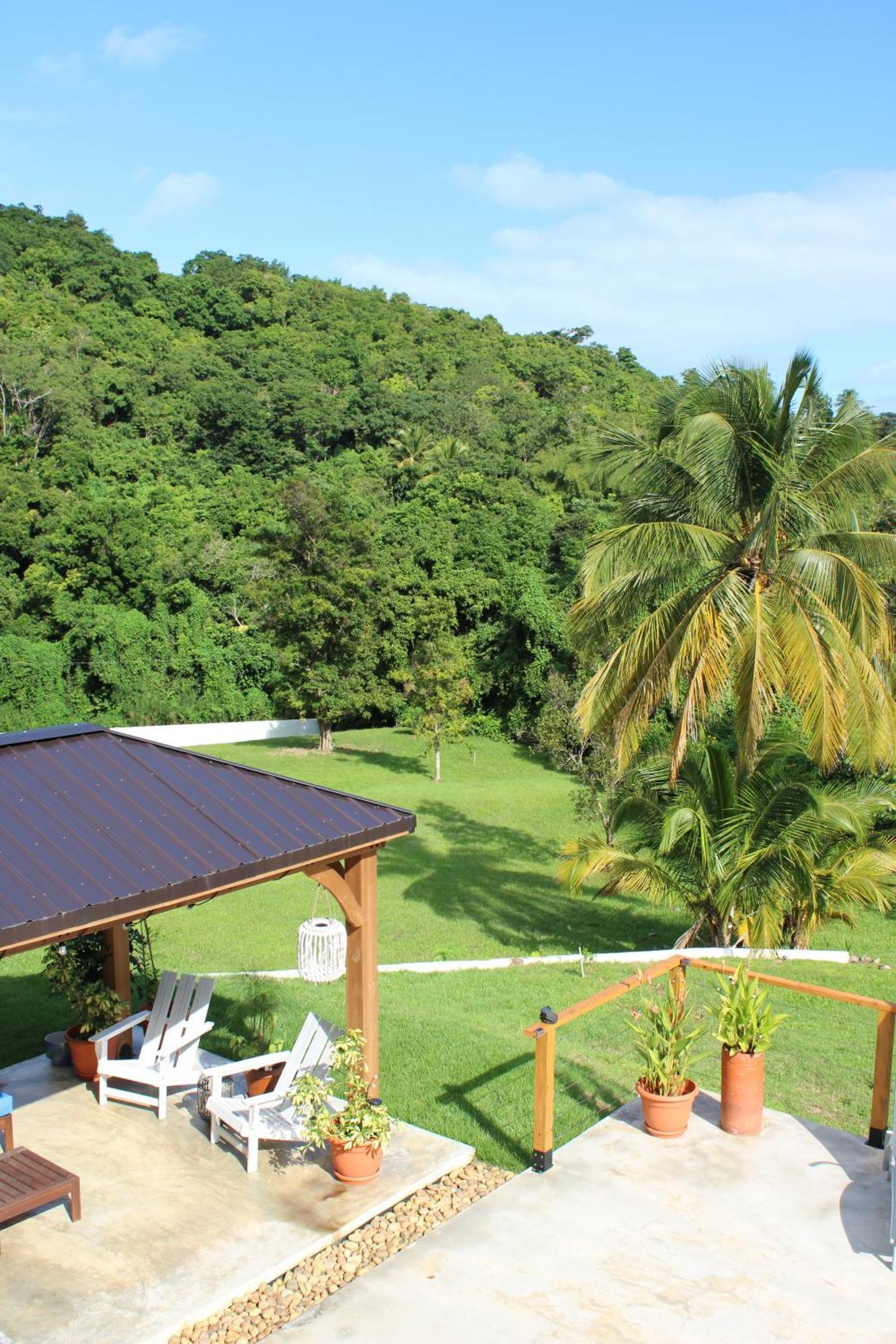 The Serene House Bed & Breakfast Luquillo Eksteriør bilde