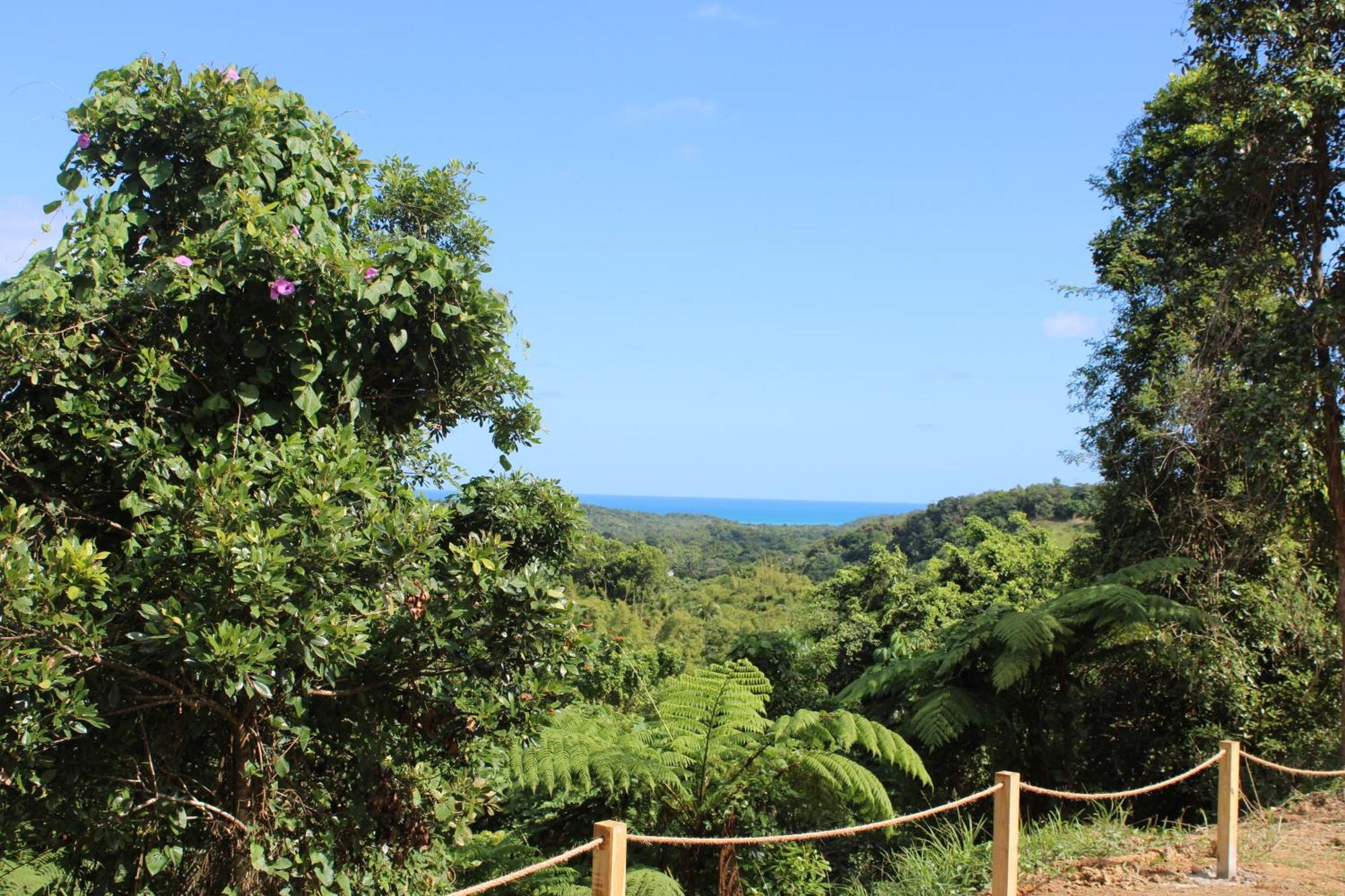 The Serene House Bed & Breakfast Luquillo Eksteriør bilde